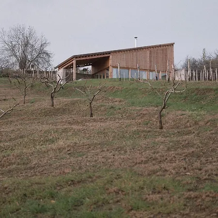 Szegzard - The 아파트호텔