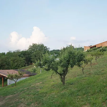 Szegzard - The 아파트호텔 Szekszárd