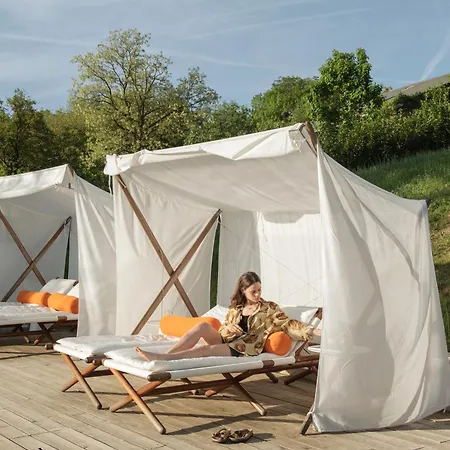 Szegzard - The Szekszárd