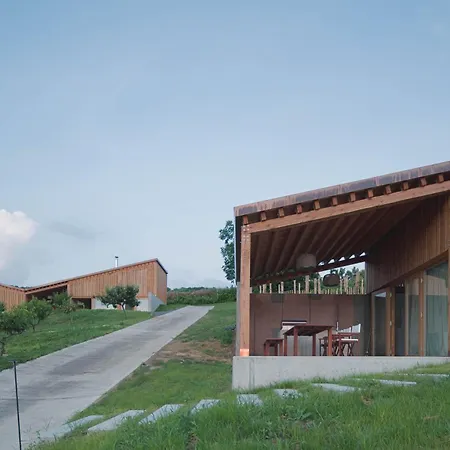 Szegzard - The Szekszárd