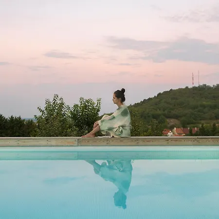 Szegzard - The 아파트호텔 Szekszárd