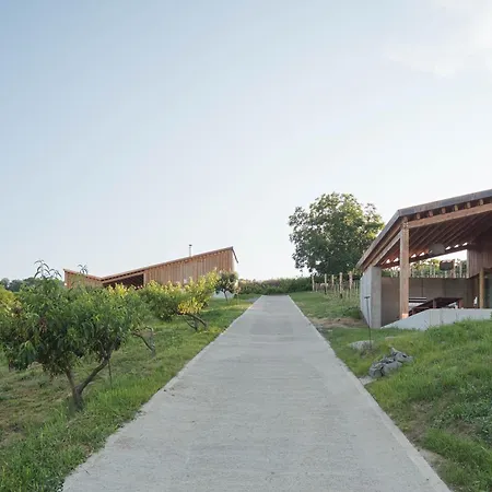 Szegzard - The 4* Szekszárd