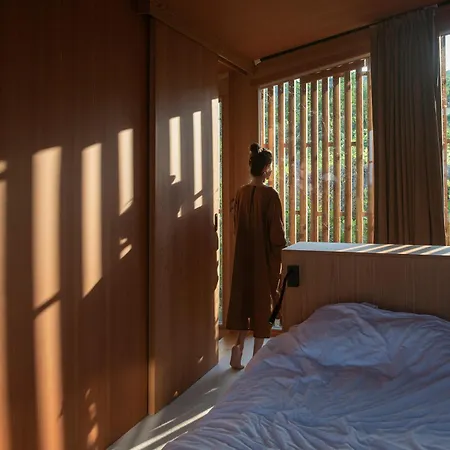 Szegzard - The Szekszárd