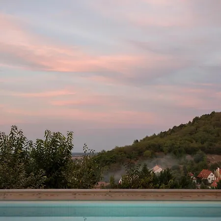 Szegzard - The 아파트호텔