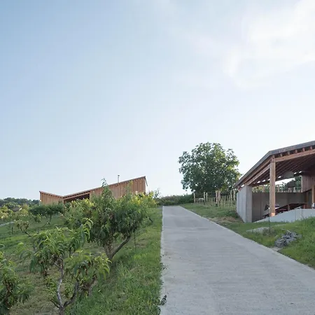 아파트호텔 Szegzard - The