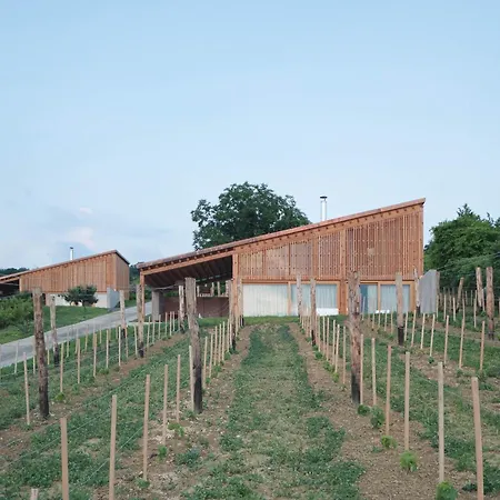 아파트호텔 Szegzard - The Szekszárd