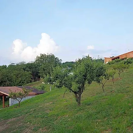 Szegzard - The Aparthotel Szekszárd