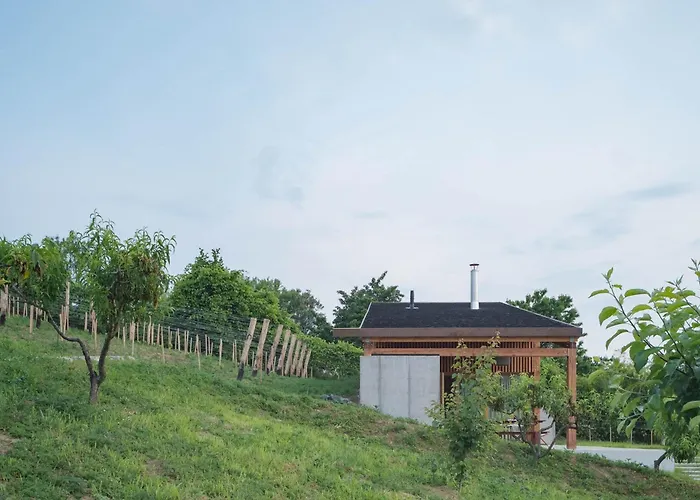 Szegzard - The 4* Szekszárd